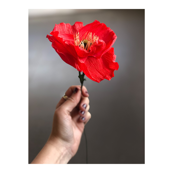 Beach resident selling large tissue paper poppies to raise funds